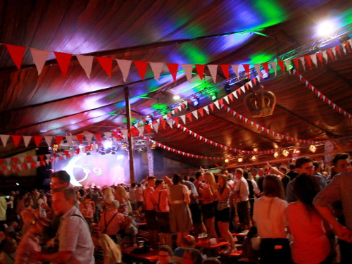 Die Partyvögel Samstag Hofer Volksfest 2018 – Foto 48