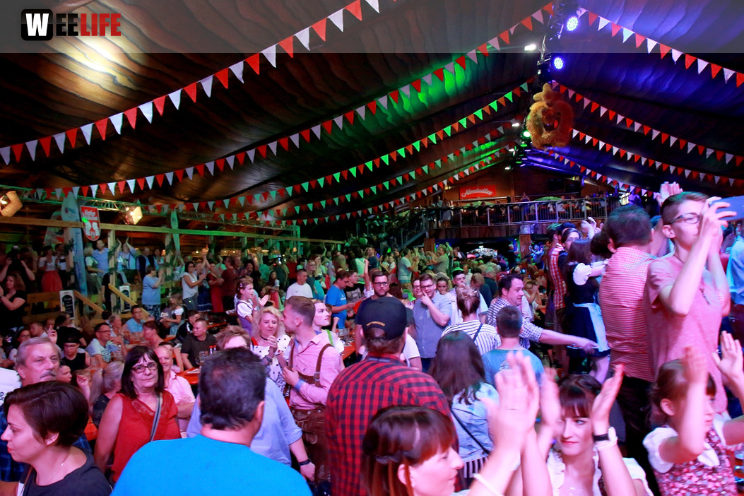 Die Partyvögel Samstag Hofer Volksfest 2018