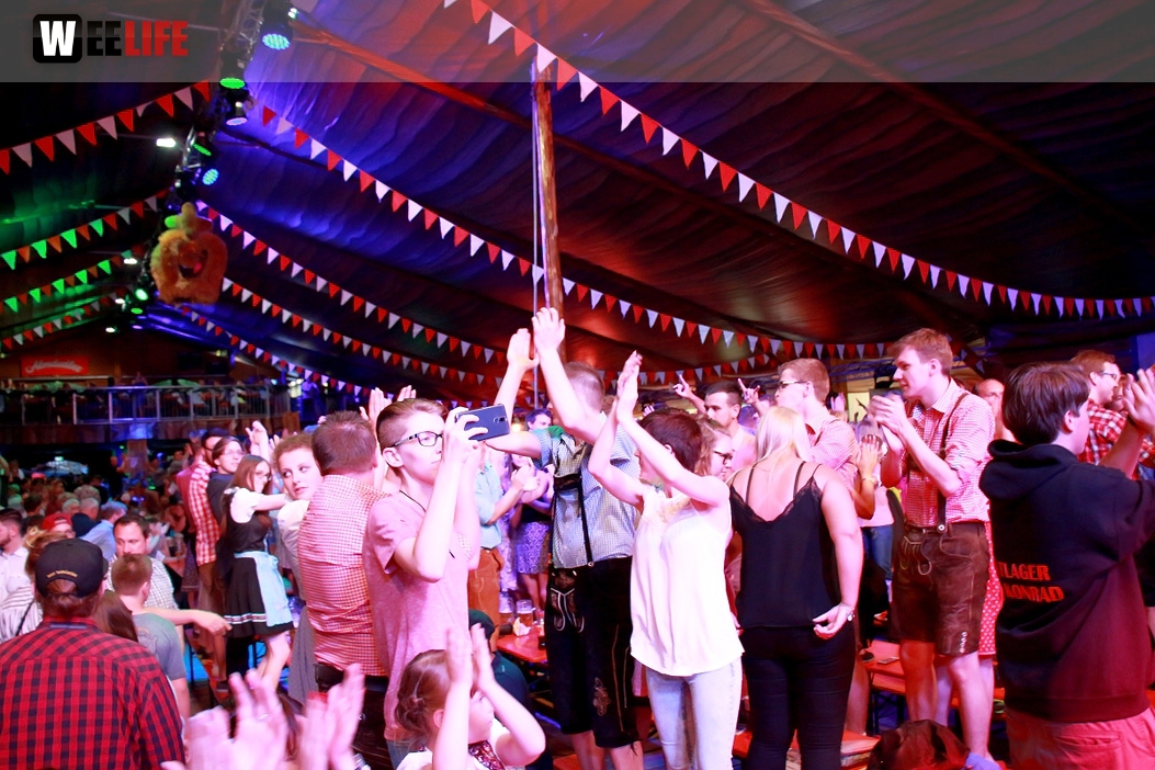 Die Partyvögel Samstag Hofer Volksfest 2018