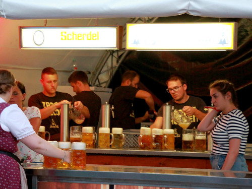 Die Partyvögel Samstag Hofer Volksfest 2018 – Foto 70