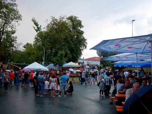 Die Partyvögel Samstag Hofer Volksfest 2018 – Foto 81