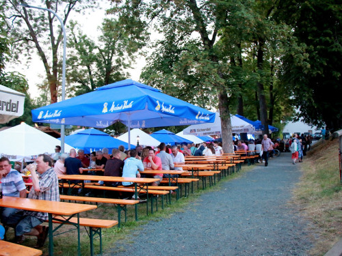 Die Partyvögel Samstag Hofer Volksfest 2018 – Foto 84