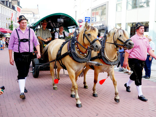 Volksfestumzug  Hofer Volksfest 2018 27.7.2018 Fotograf Murat – Foto 46