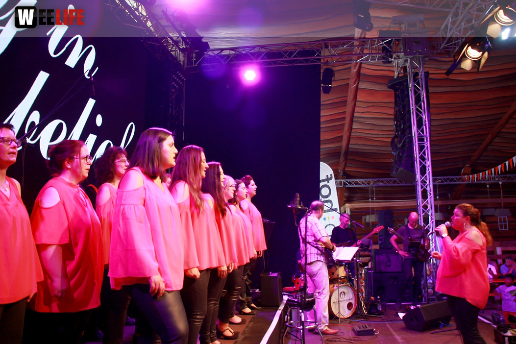 Gospelfrühschoppen mit Joy in Belief ProHof e.V. Hofer Volksfest 2018 29.07.2018