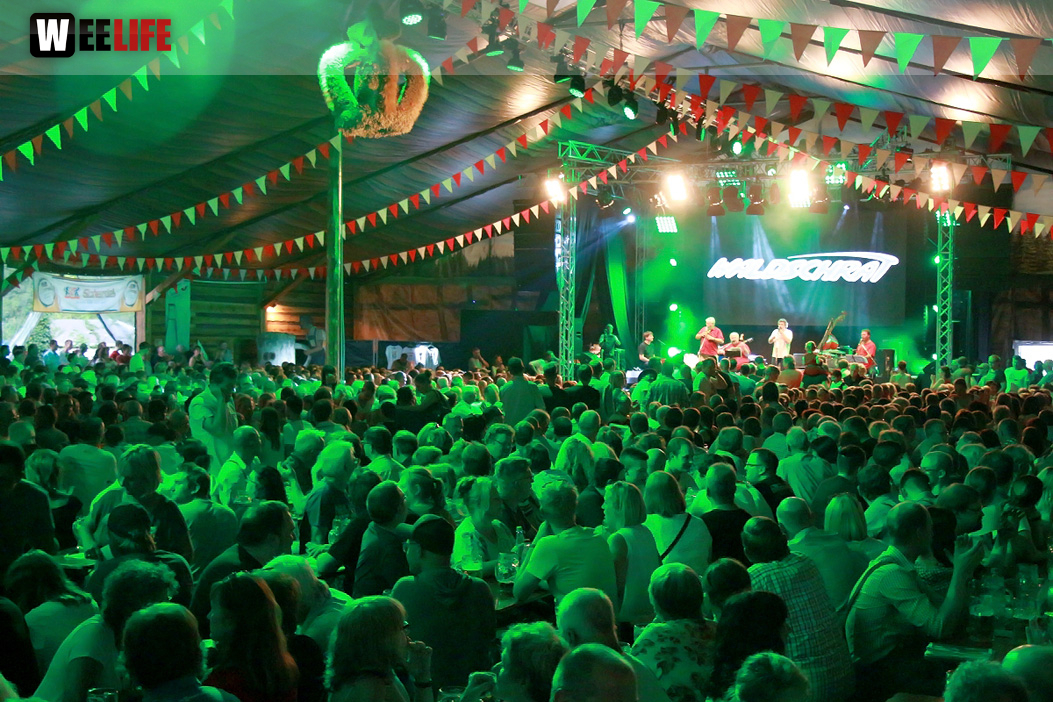 Konzert Waldschrat Hofer Volksfest 2018 29.07.2018
