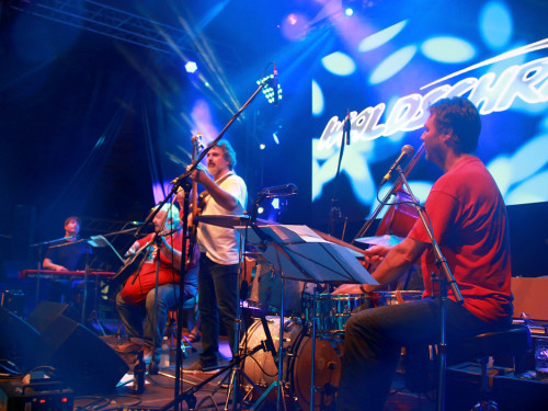 Konzert Waldschrat Hofer Volksfest 2018 29.07.2018 – Foto 26