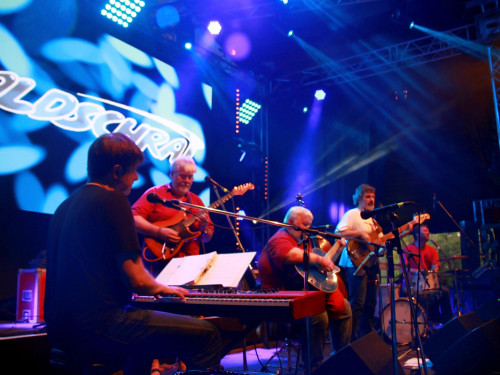 Konzert Waldschrat Hofer Volksfest 2018 29.07.2018 – Foto 36