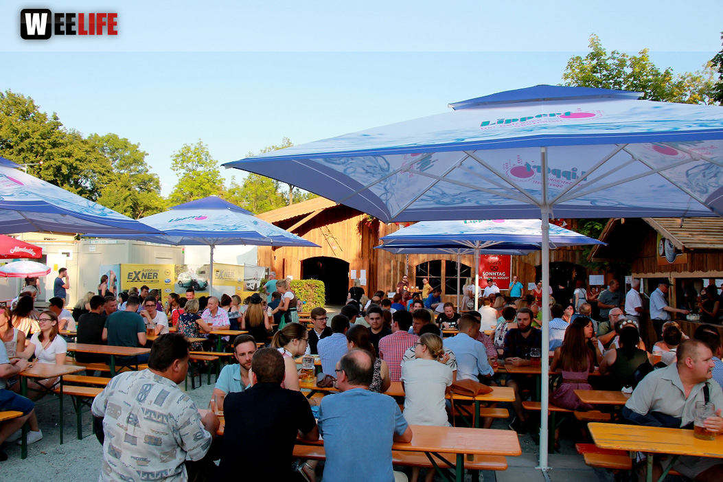 Nachmittag Hofer Volksfest 2018 30.7.18