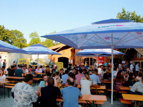Nachmittag Hofer Volksfest 2018 30.7.18 – Foto 27