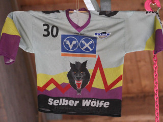Vorschau des vorherigen Fotos