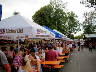 Foto 215061 im Album