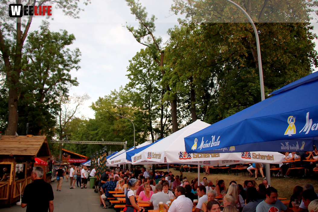 Nachmittag Hofer Volksfest 2018 31.7.2018