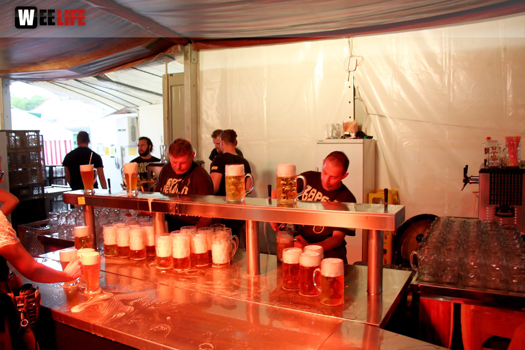 Tag der Sparkasse Jetzendorfer Hinterhofmusikanten Hofer Volksfest 2018