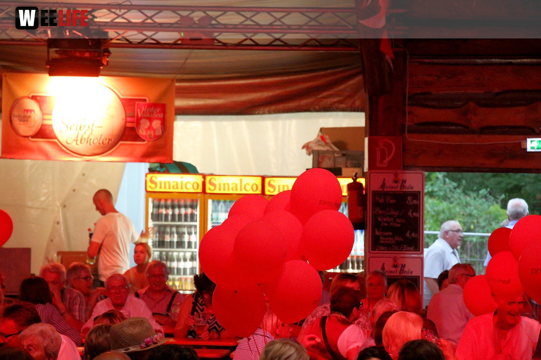 Tag der Sparkasse Jetzendorfer Hinterhofmusikanten Hofer Volksfest 2018