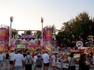 Foto 215855 im Album