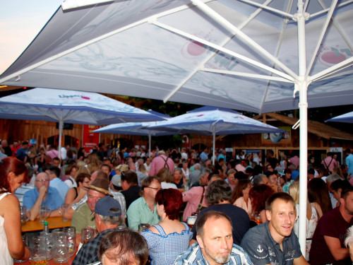 Nachmittag Tag 7 Hofer Volksfest 2018  – Foto 52