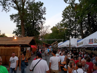 Foto 215907 im Album