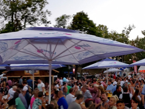 Nachmittag Tag 7 Hofer Volksfest 2018  – Foto 83