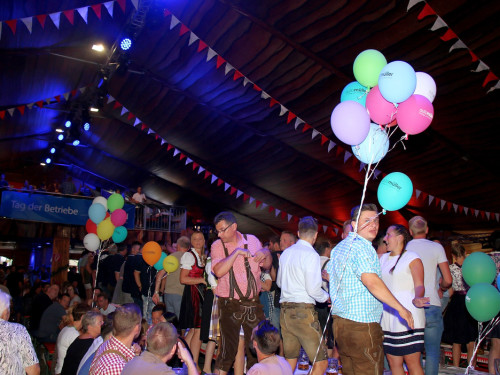 Blechhulza Tag der Betriebe Gealan Hofer Volksfest 2018 – Foto 18