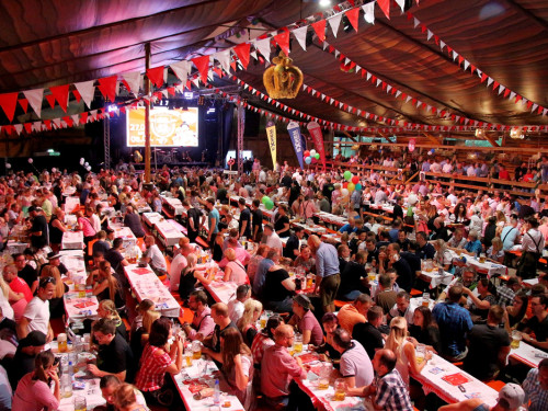 Blechhulza Tag der Betriebe Gealan Hofer Volksfest 2018 – Foto 53