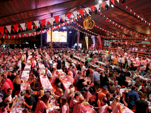 Blechhulza Tag der Betriebe Gealan Hofer Volksfest 2018 – Foto 54