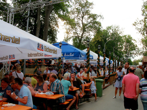 Nachmittag Tag 8 Hofer Volksfest 2018 3.8.18 – Foto 13