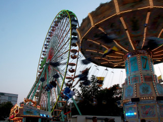 Foto 216942 im Album