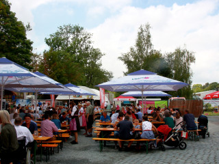 Foto 217324 im Album