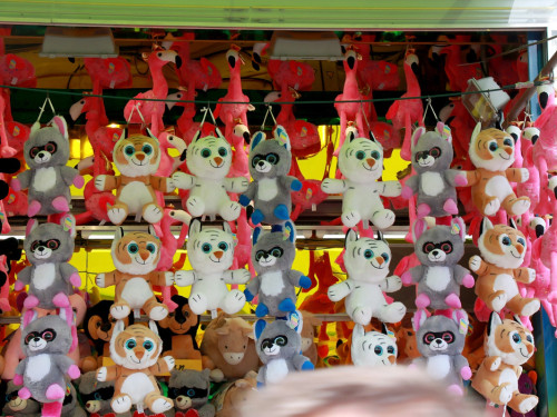 Nachmittag Tag 10 Hofer Volksfest 2018 – Foto 35