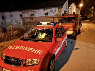 Vorschau des vorherigen Fotos