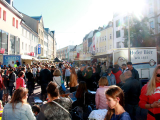 Foto 218238 im Album