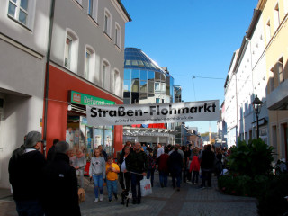 Foto 218252 im Album