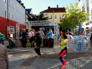 Foto 218260 im Album
