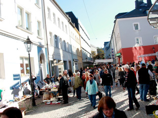Vorschau des vorherigen Fotos