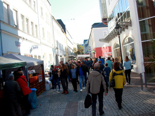 Foto 218266 im Album