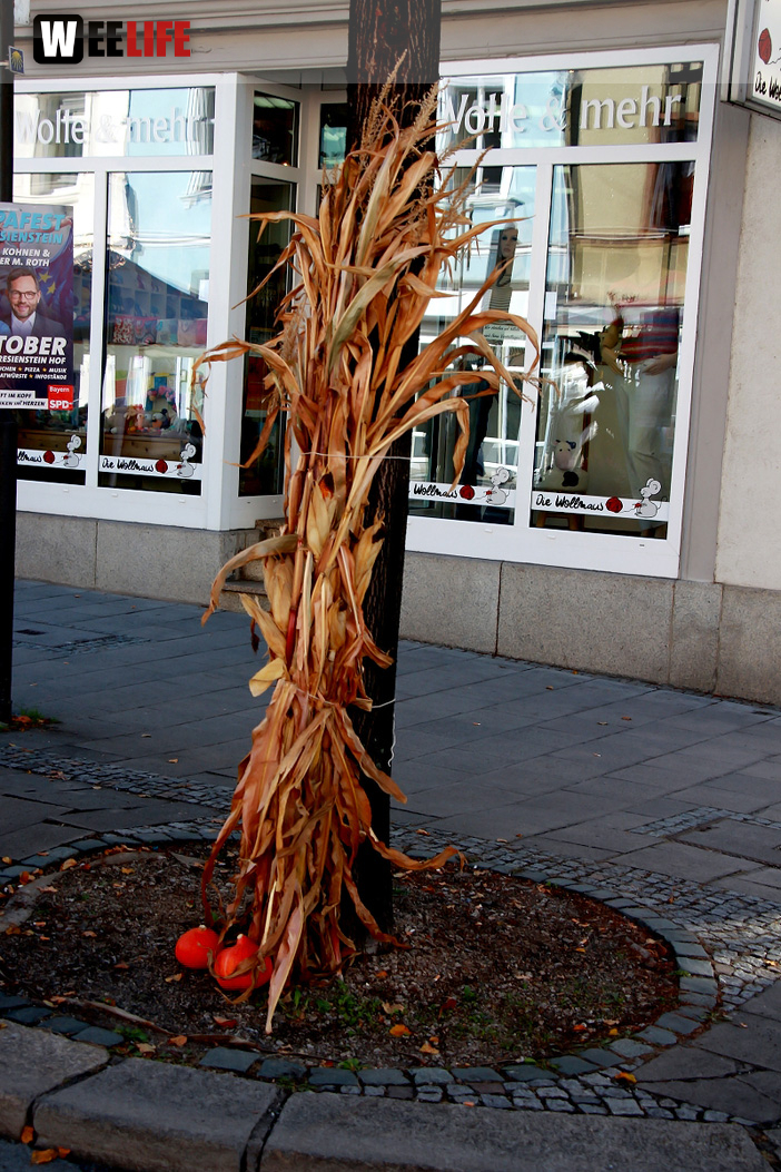 Hofer Herbstmarkt 2018