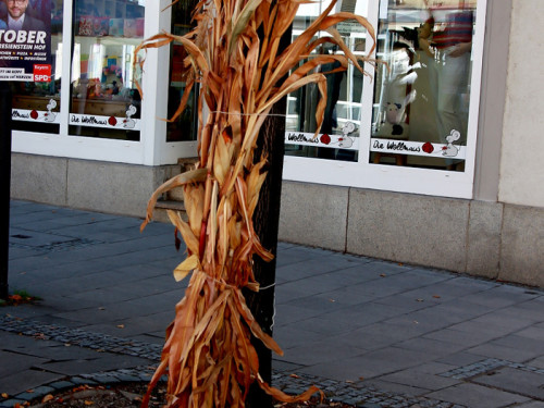 Hofer Herbstmarkt 2018 – Foto 105