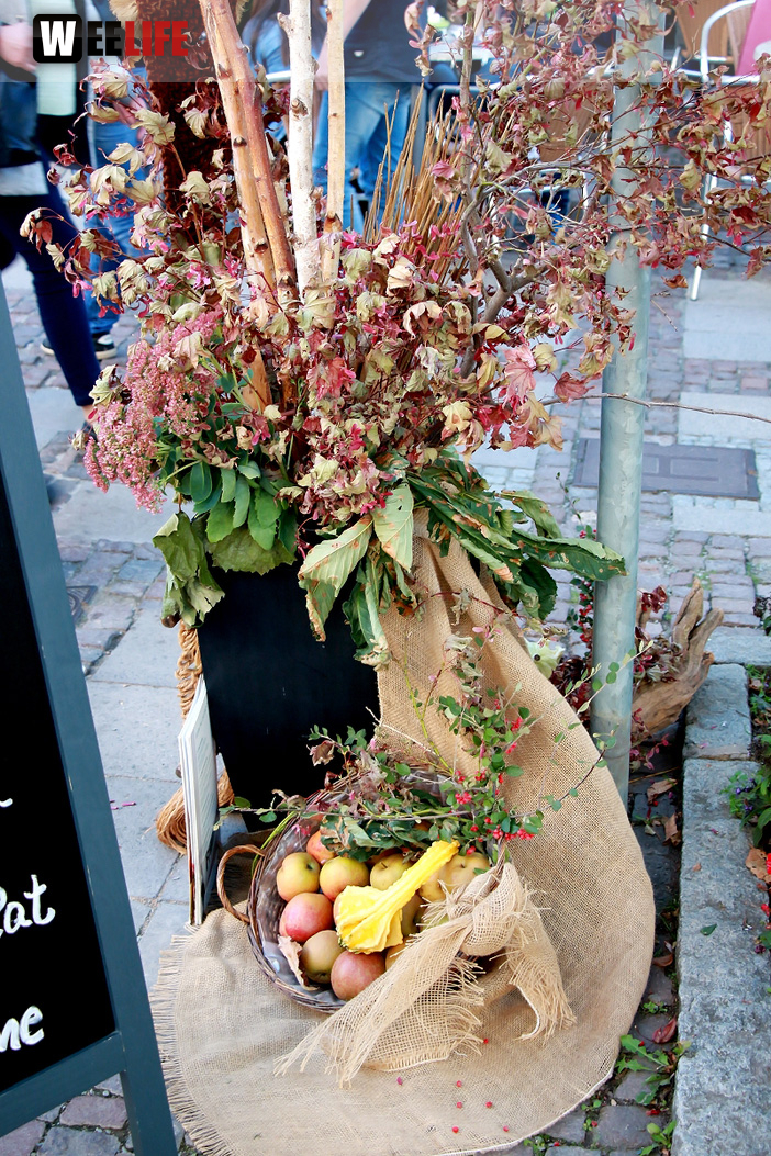 Hofer Herbstmarkt 2018