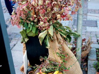 Foto 218311 im Album