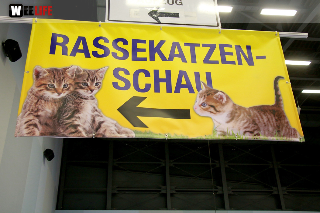 Oberfranken Ausstellung 2018 Freitag