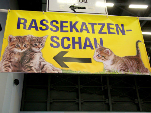 Oberfranken Ausstellung 2018 Freitag – Foto 37