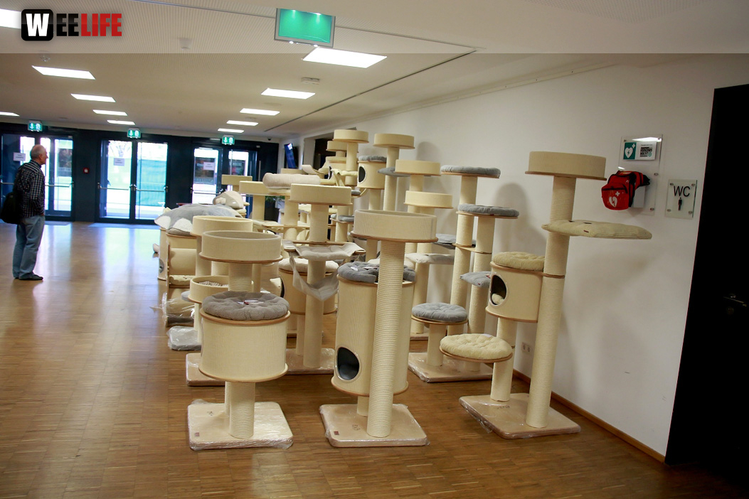 Oberfranken Ausstellung 2018 Freitag