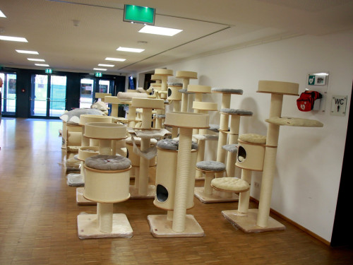 Oberfranken Ausstellung 2018 Freitag – Foto 38
