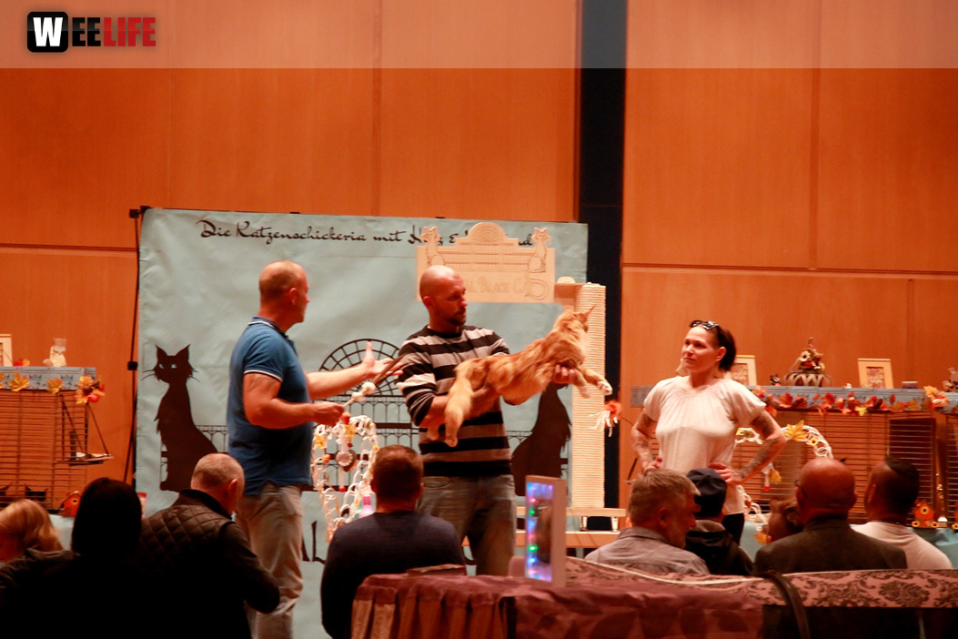 Oberfranken Ausstellung 2018 Freitag