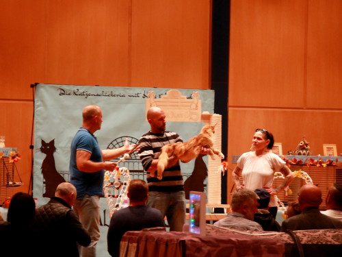 Oberfranken Ausstellung 2018 Freitag – Foto 40