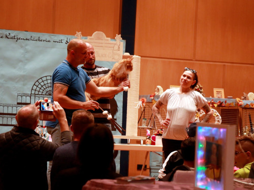 Oberfranken Ausstellung 2018 Freitag – Foto 43