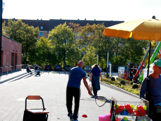 Foto 218394 im Album
