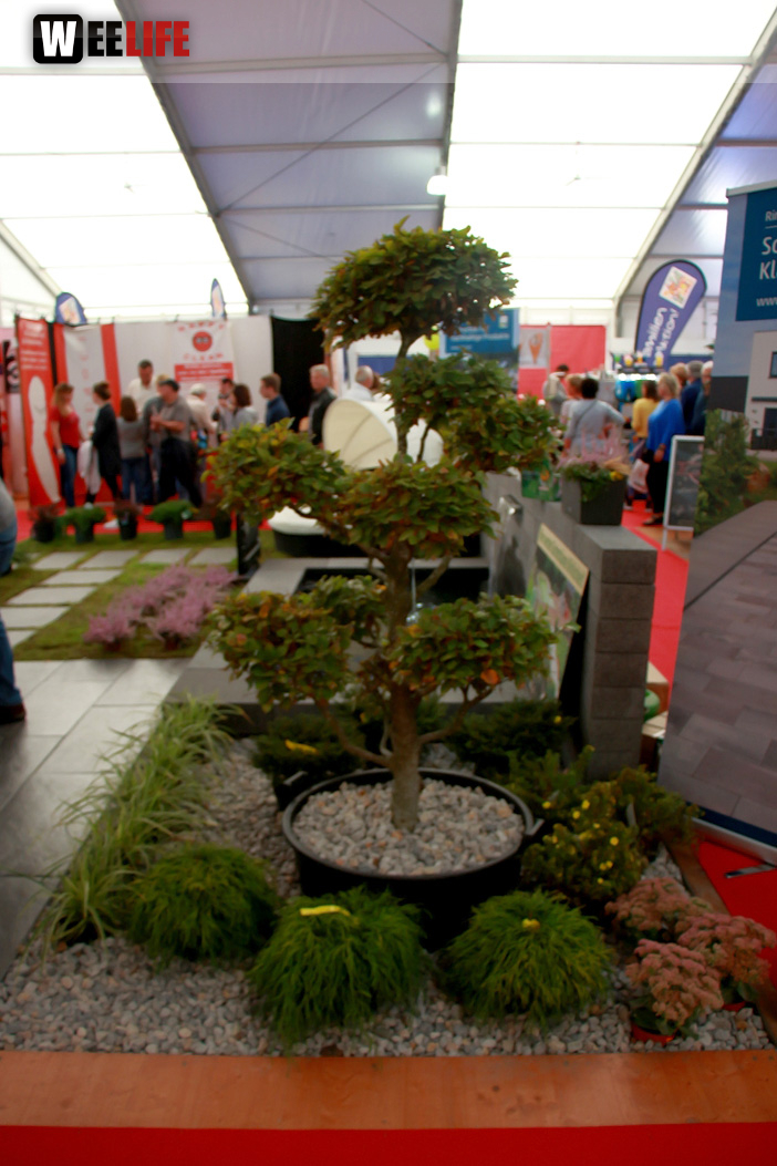 Oberfranken Ausstellung 2018 Freitag