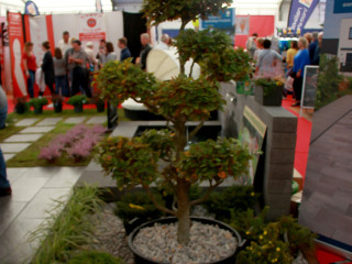 Foto 218432 im Album
