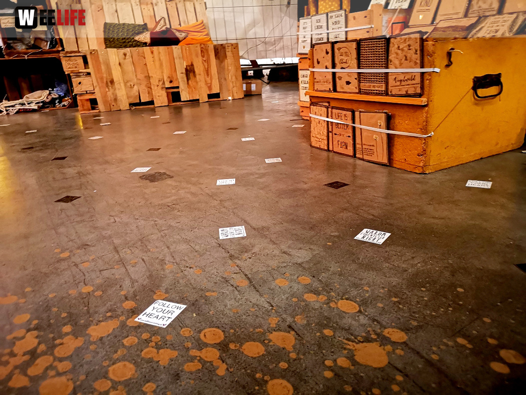 HOFTEX Plosion 2018 Freitag
